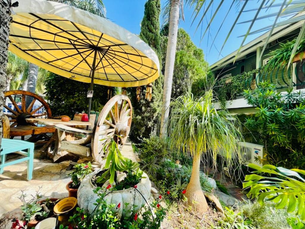 Out Of Africa Resort Had Nes Ngoại thất bức ảnh