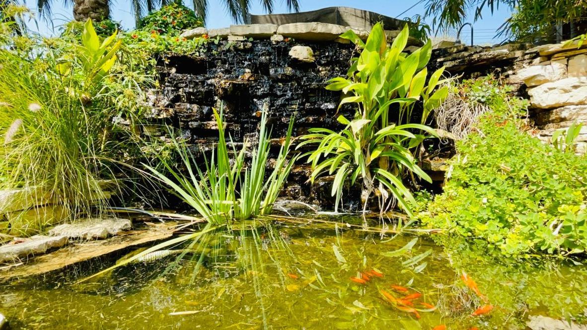 Out Of Africa Resort Had Nes Ngoại thất bức ảnh
