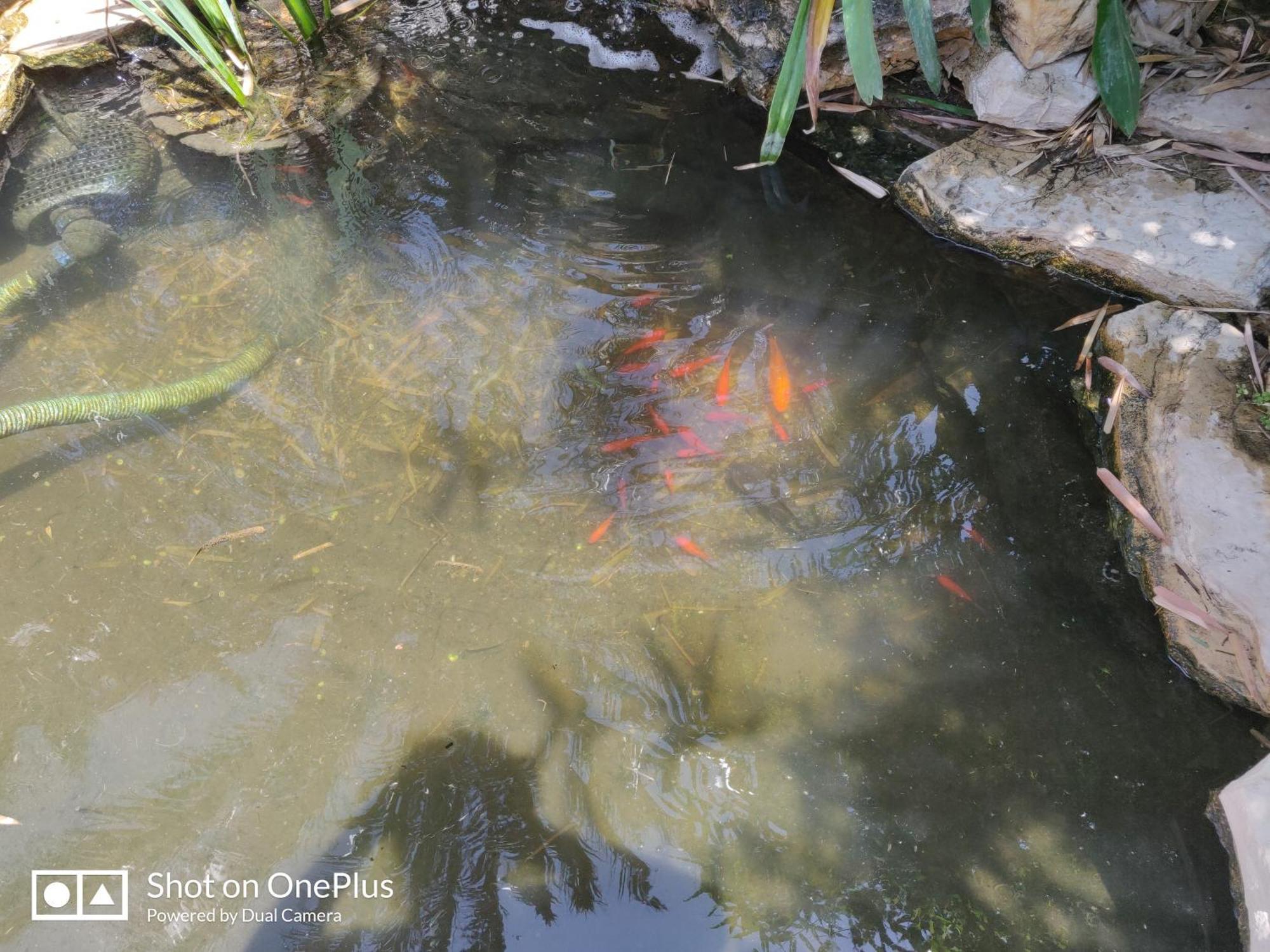 Out Of Africa Resort Had Nes Phòng bức ảnh